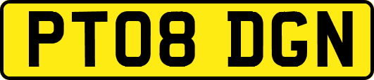 PT08DGN