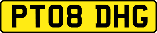 PT08DHG