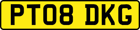 PT08DKG