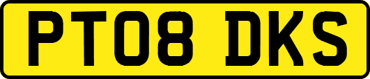 PT08DKS