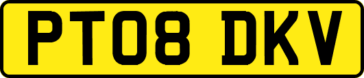 PT08DKV