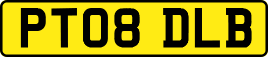 PT08DLB
