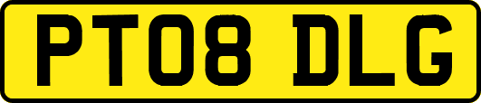 PT08DLG