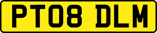 PT08DLM