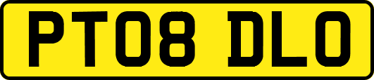 PT08DLO