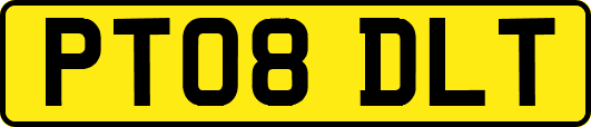 PT08DLT