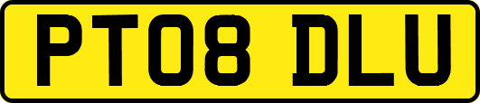 PT08DLU