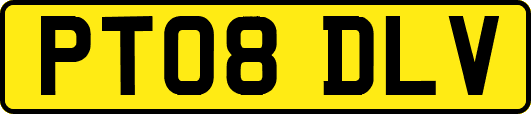 PT08DLV