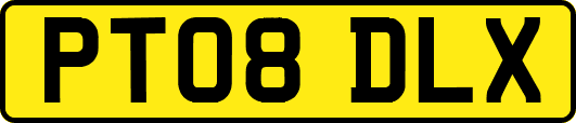 PT08DLX