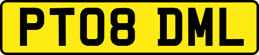 PT08DML