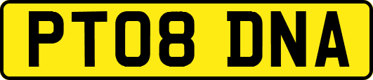 PT08DNA