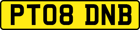 PT08DNB