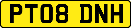 PT08DNH
