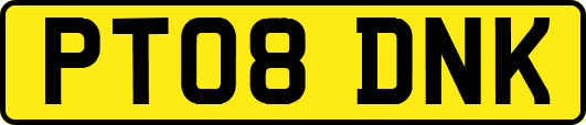 PT08DNK