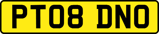 PT08DNO