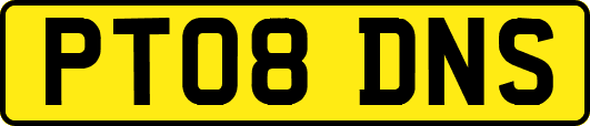 PT08DNS