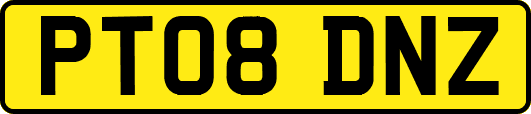 PT08DNZ