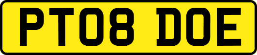 PT08DOE