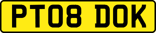PT08DOK