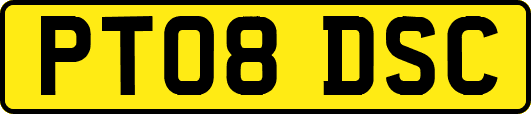 PT08DSC