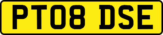 PT08DSE