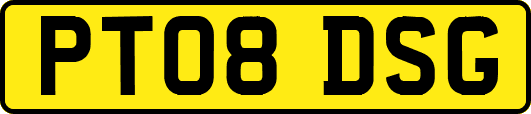PT08DSG