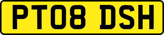 PT08DSH