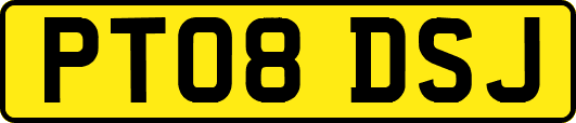 PT08DSJ