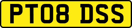 PT08DSS
