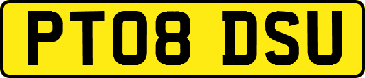 PT08DSU