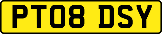 PT08DSY