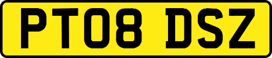 PT08DSZ