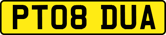 PT08DUA