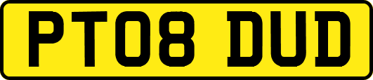 PT08DUD