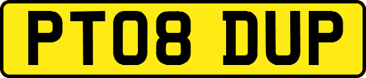 PT08DUP