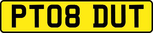 PT08DUT