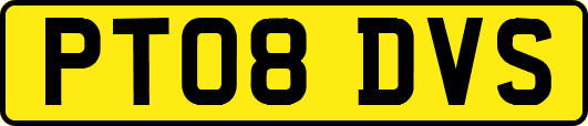 PT08DVS