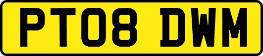 PT08DWM