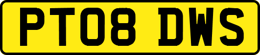 PT08DWS