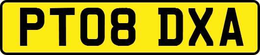 PT08DXA