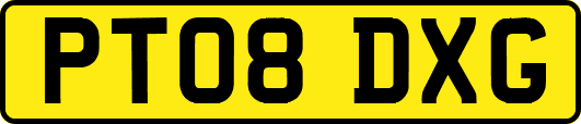 PT08DXG