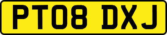 PT08DXJ