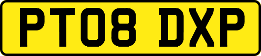 PT08DXP