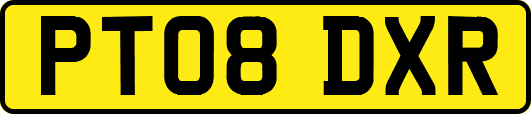 PT08DXR