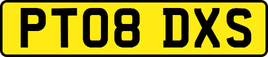 PT08DXS