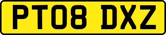 PT08DXZ