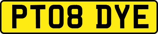PT08DYE