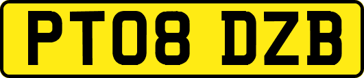 PT08DZB