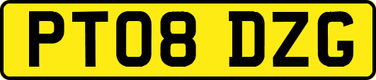 PT08DZG
