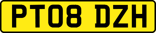 PT08DZH